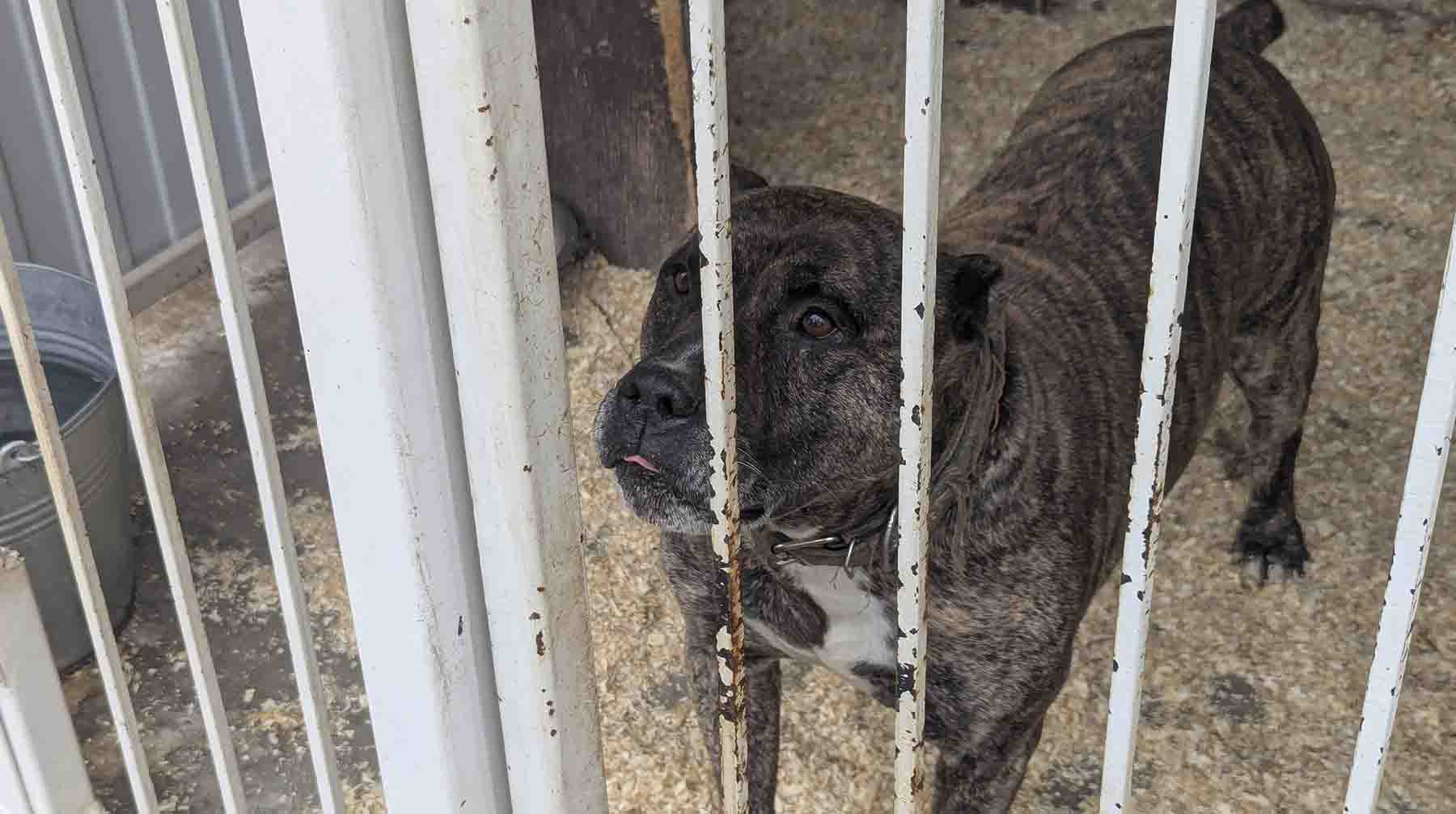Фото: Daily Storm