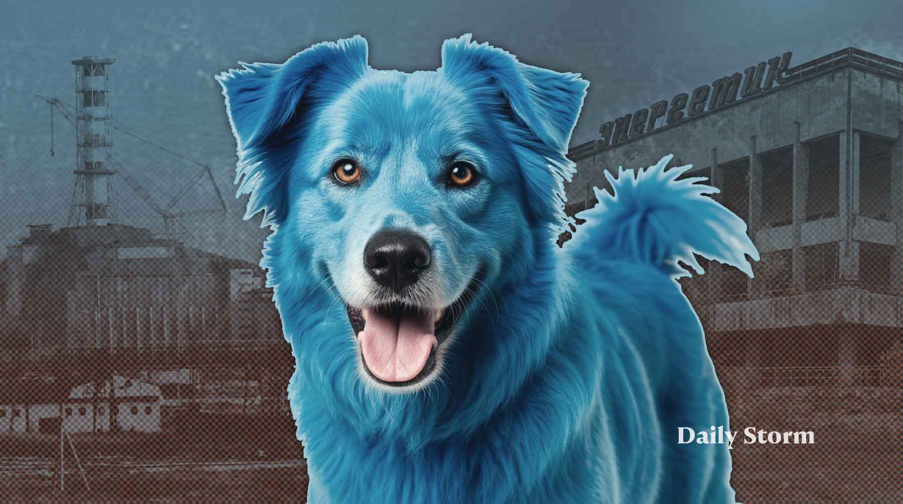 Глава объединения «Союз чернобыльцев России» предположил, что животных могла покрасить молодежь Коллаж: Daily Storm