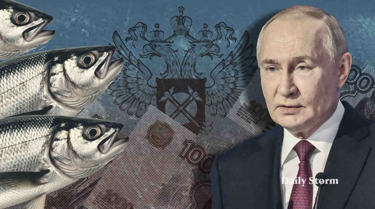 Россияне стали есть меньше соответствующих продуктов — на это накануне обратил внимание президент Владимир Путин Коллаж: Daily Storm