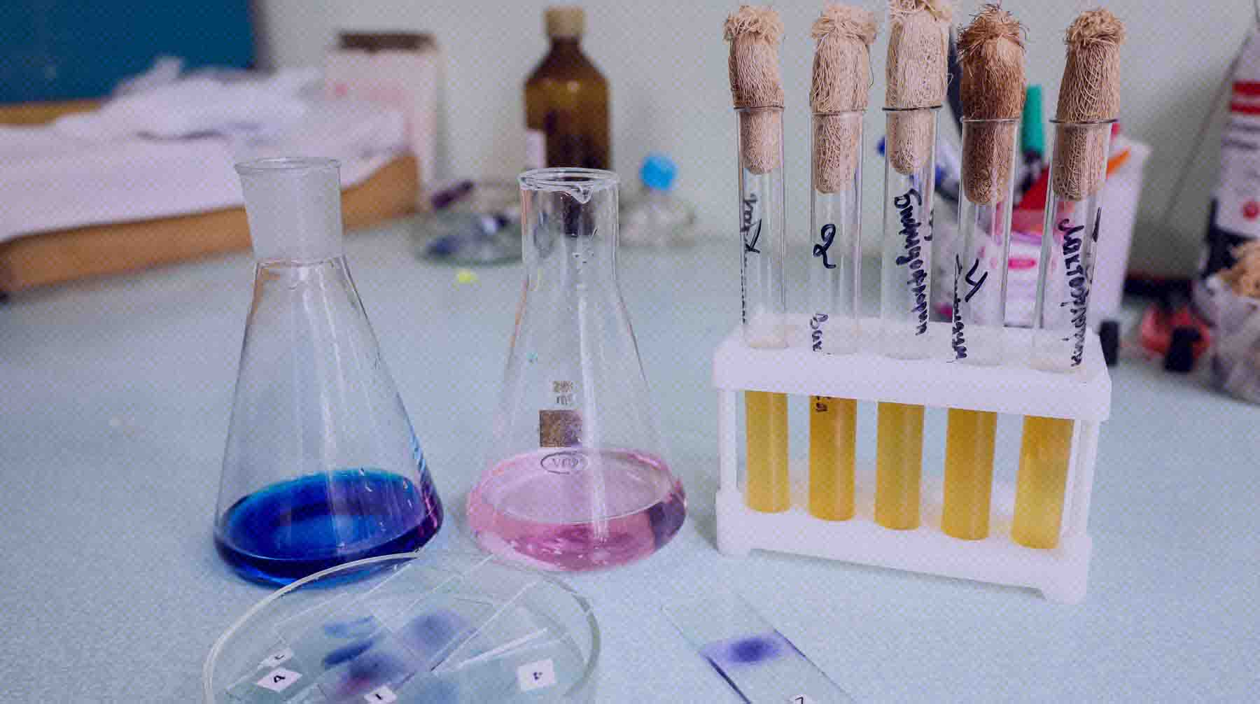 Артем Оганов отметил, что научные знания не должны иметь границ Фото: Global Look Press / Елена Майорова