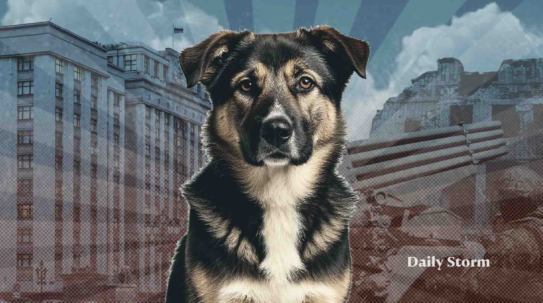 Это популизм, а не помощь фронту: генерал Картаполов возмутился идеей отправить бездомных собак на СВО