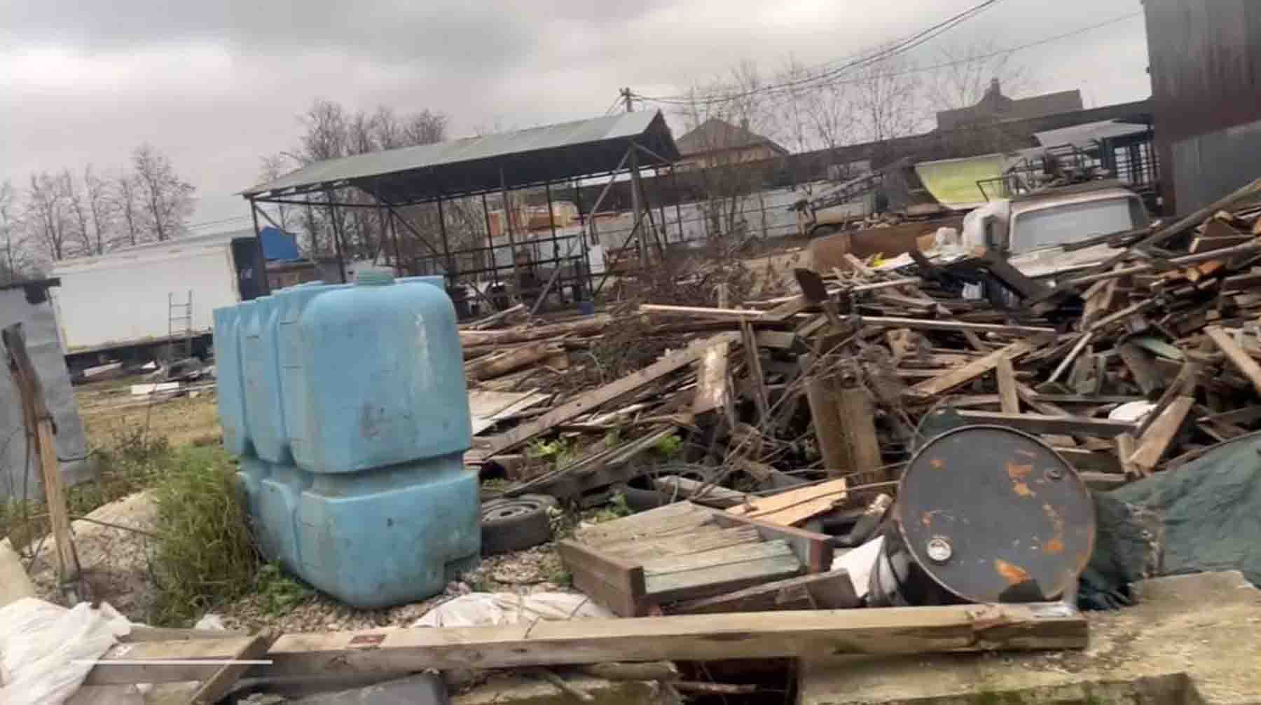 Скриншот: Daily Storm