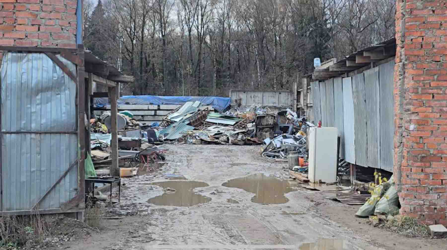 Скриншот: Daily Storm