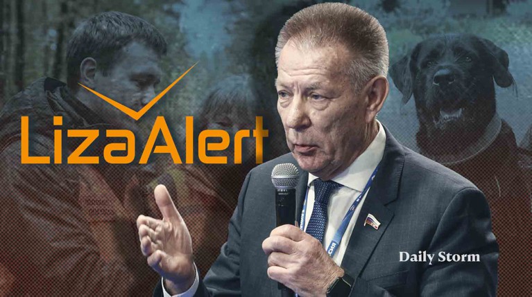 Последний раз его видели по камерам в другом конце города. Поисками занимаются волонтеры «ЛизаАлерт» Коллаж: Daily Storm