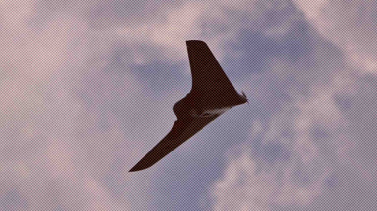 «Террористы-беспилотчики»: что известно о «Птицах Мадьяра», которые могут быть причастны к атаке по кафе в Херсонской области