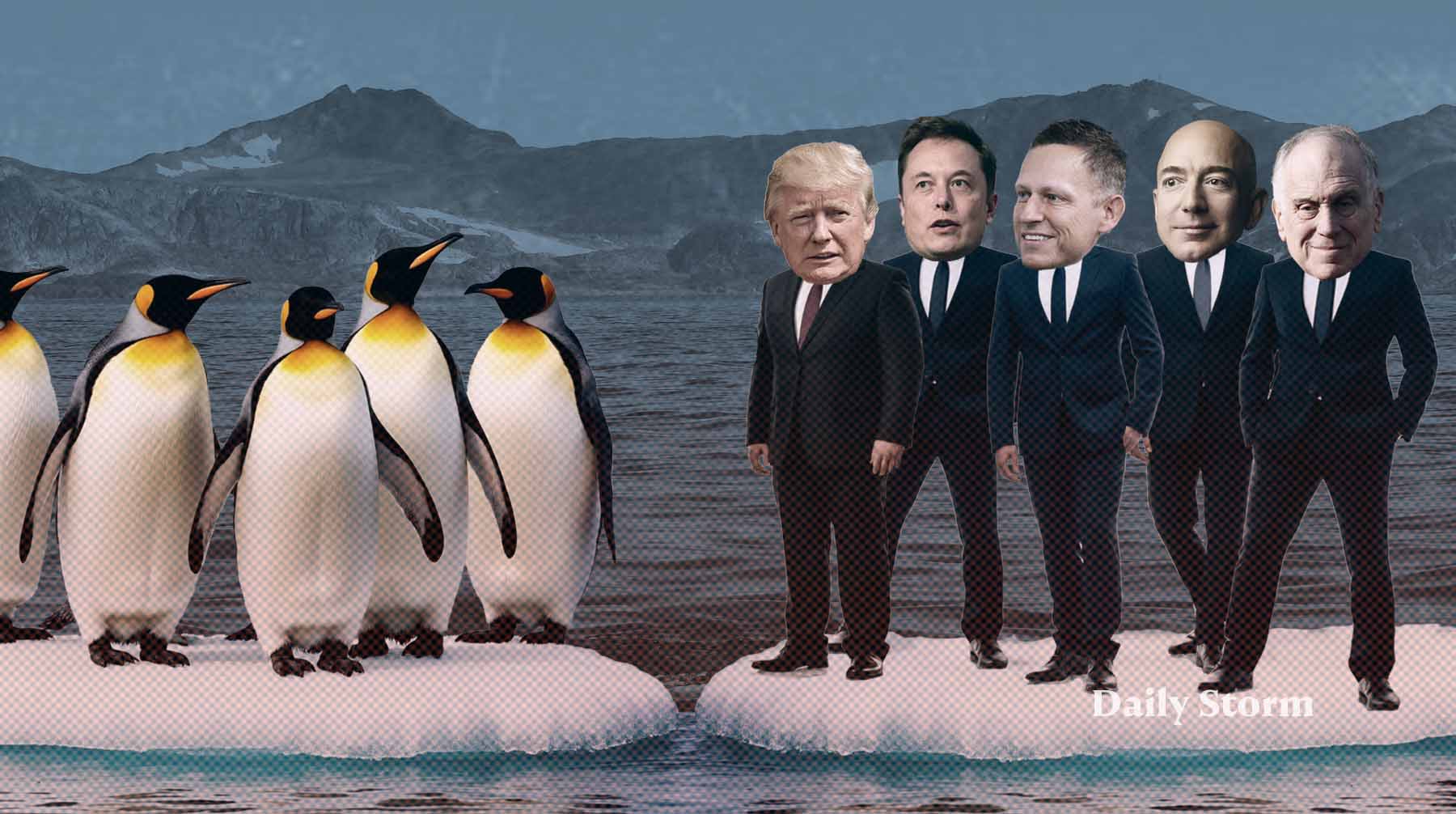 Как военные базы, редкоземельные металлы и деньги американских бизнесменов превратили ледяной остров в стратегический актив США Коллаж: Daily Storm