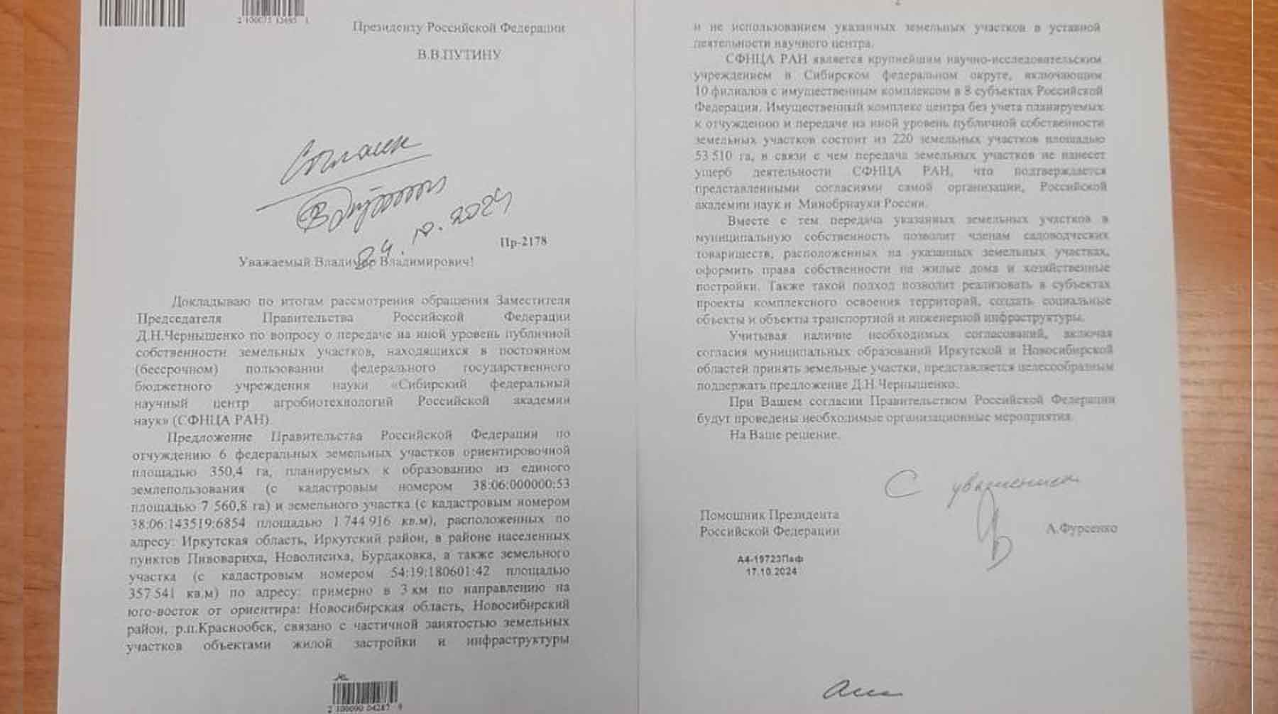 Скриншот: Daily Storm