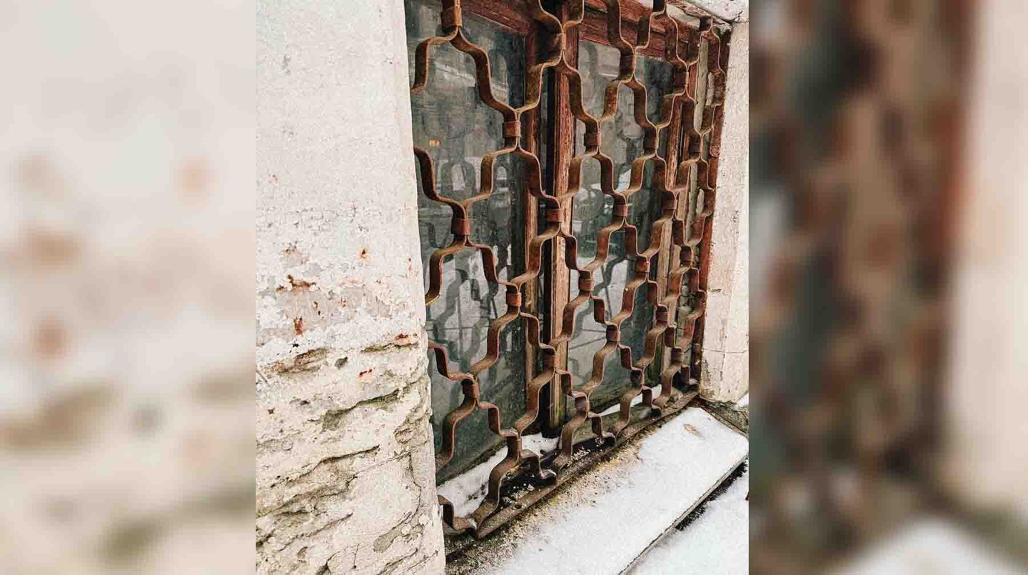 Фото: Daily Storm / Алена Сивкова