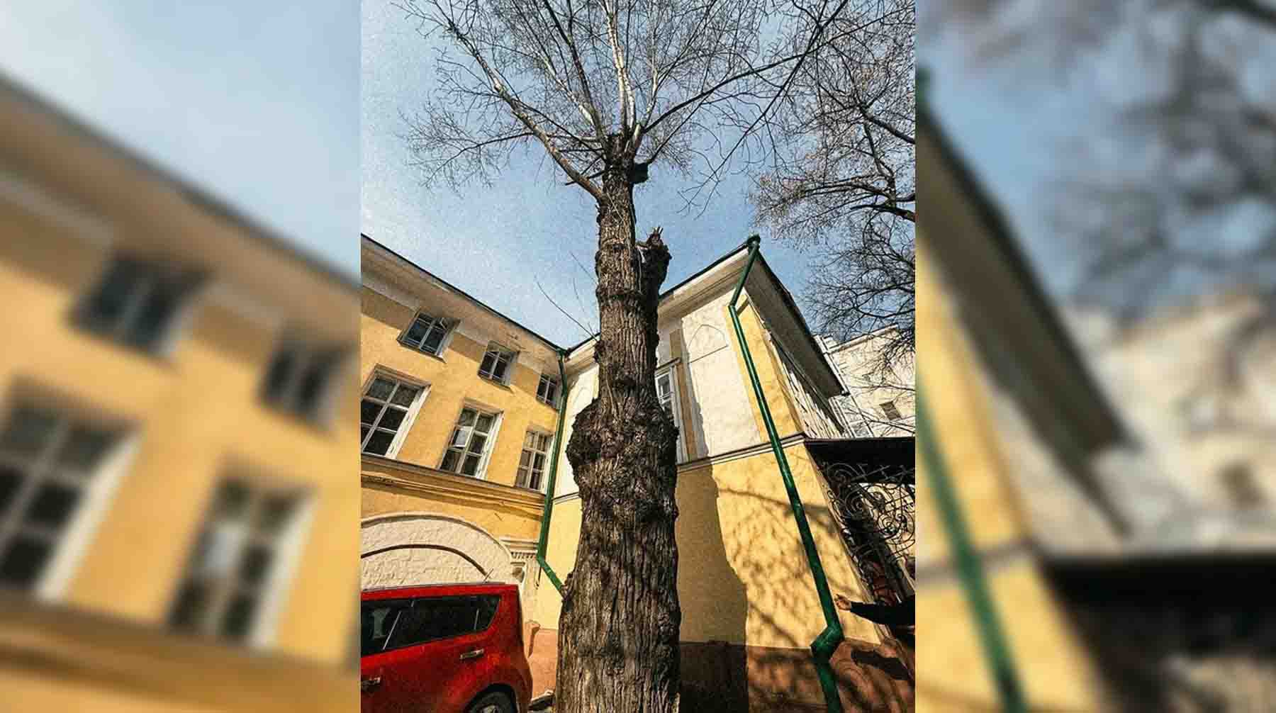 Фото: Daily Storm / Алена Сивкова