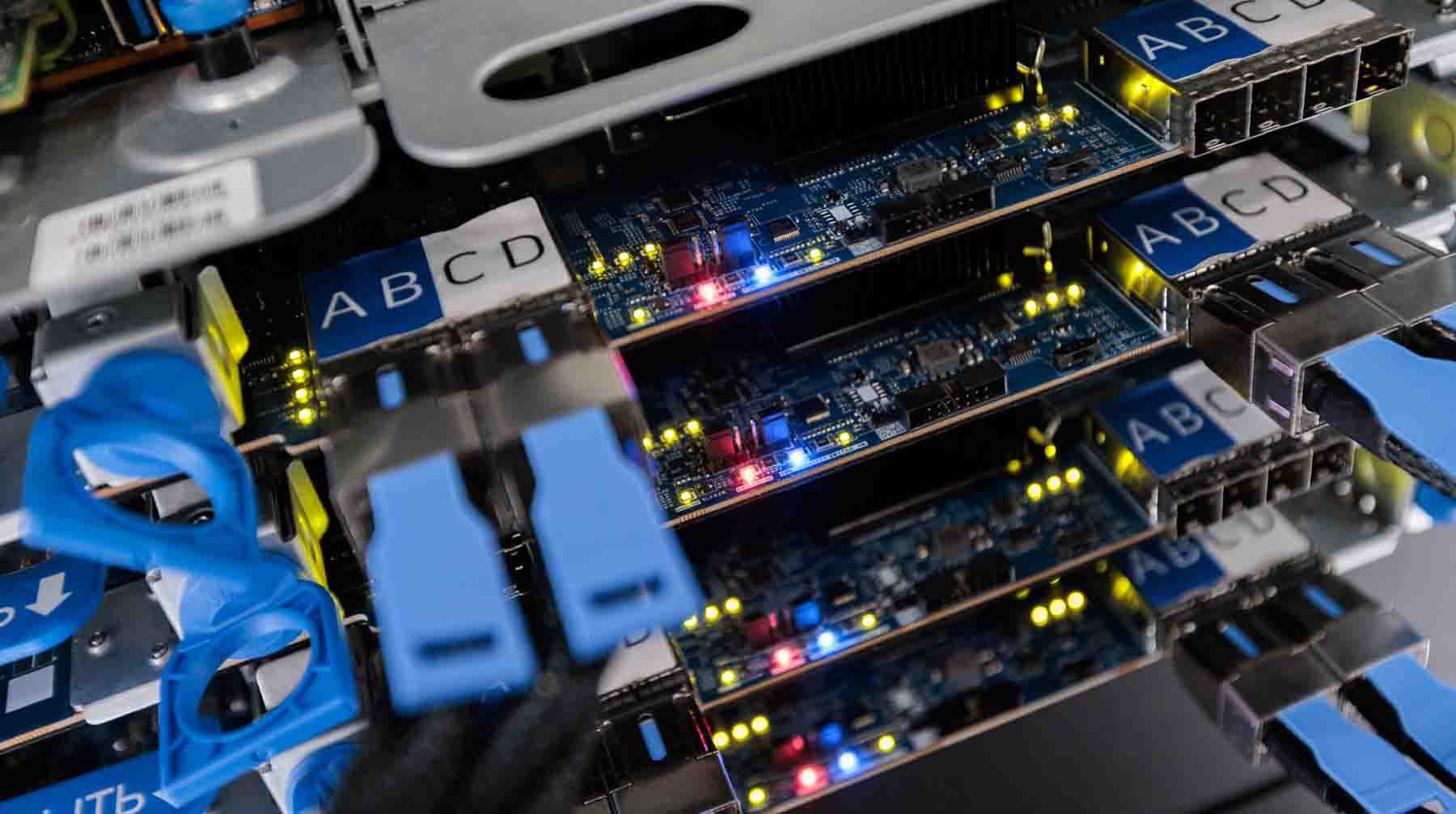 Фото: Global Look Press / Сергей Елагин