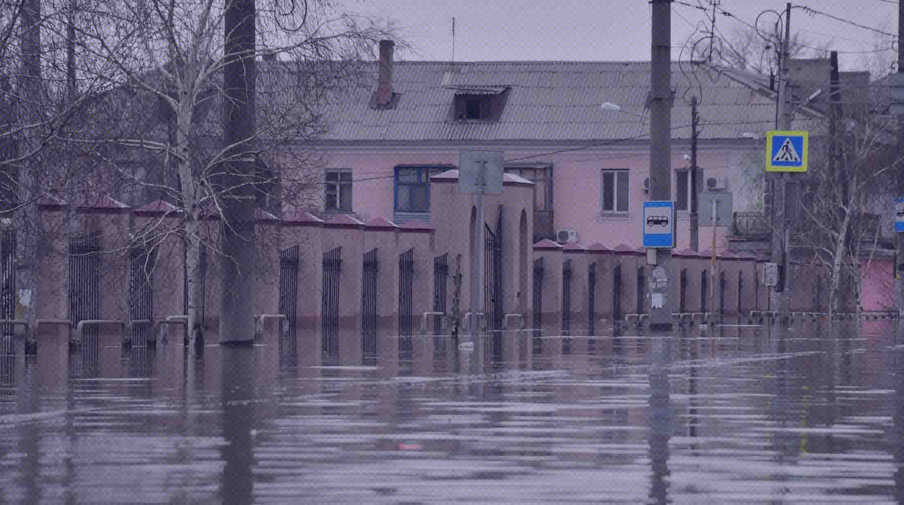 Фото: Global Look Press / Комсомольская правда